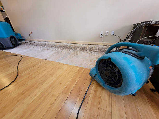 Professional Ceiling Water Damage Repair technician working in Oak City, UT